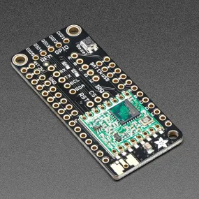 Adafruit LoRa Radio FeatherWing - RFM95W 900 MHz - RadioFruit