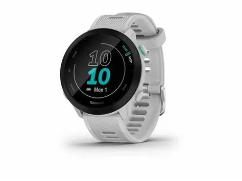 Garmin Forerunner 55