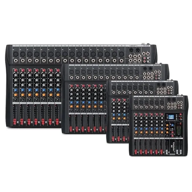 Hridz 12 Channel Mixing Console Live Studio Audio DJ Mixer Sound Board USB Interface